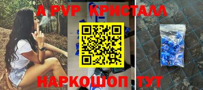 крисы Гатчина