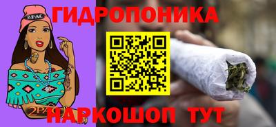 крисы Гатчина