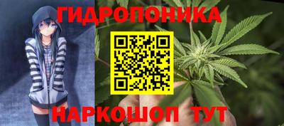 PSILOCYBIN Гай