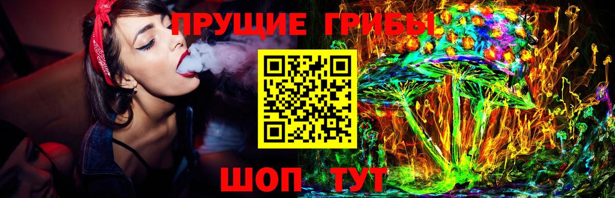 Волхов  Галлюциногенные грибы ЛСД  Вход с VPN  Псилоцибиновые грибы Cubensis 