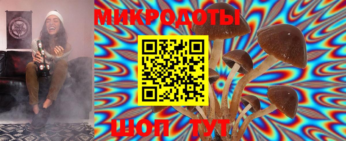 Галлюциногенные грибы Magic Shrooms Волхов