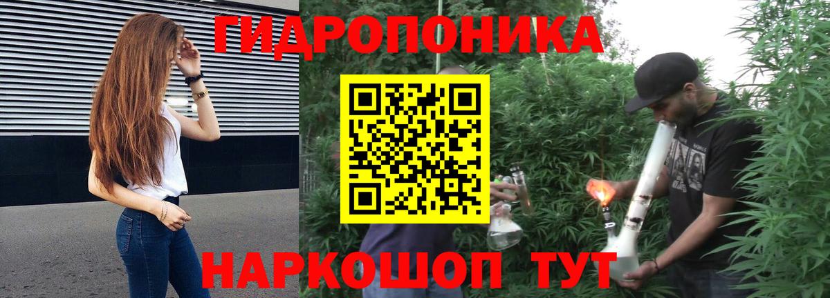 Шишки марихуана Bruce Banner  Каннабис сатива  Вход с VPN  Волхов  МАРИХУАНА AK-47 