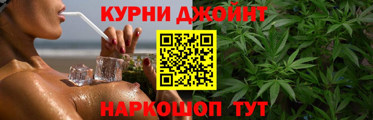 Шишки марихуана план Волхов